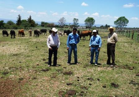 13-julio-2009-el-tecolote
