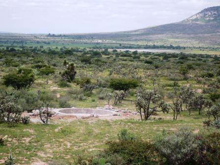 lajitas-bebedero-en-const