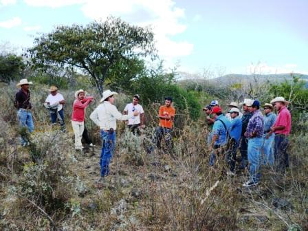 seguimiento-1-nov-10_2